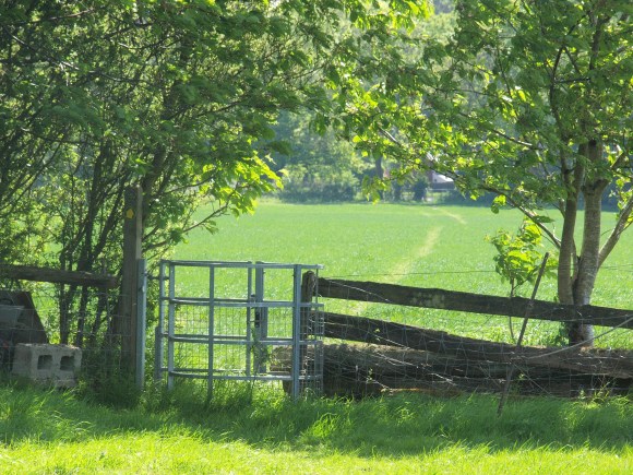 Second gate follow the 'trodden' footpath
