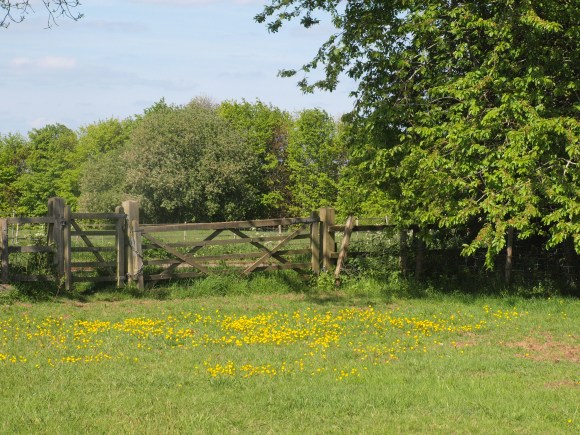 Gate back onto Oakely Wood Road